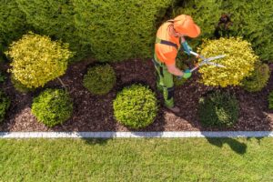 Jardinería